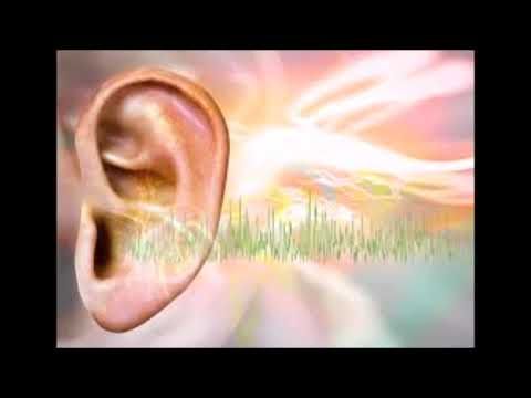 sound, frequency, hearing, ear, nature, sound wave