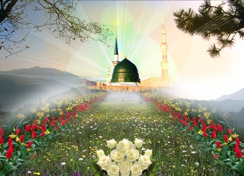 Madina-Garden-of-Paradise-light.jpg