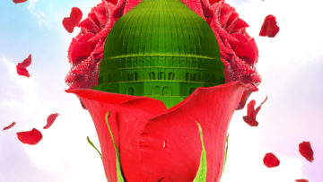 Madina Sharif in red rose floating petals