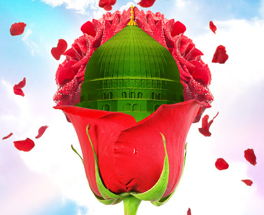 Madina Sharif in red rose floating petals