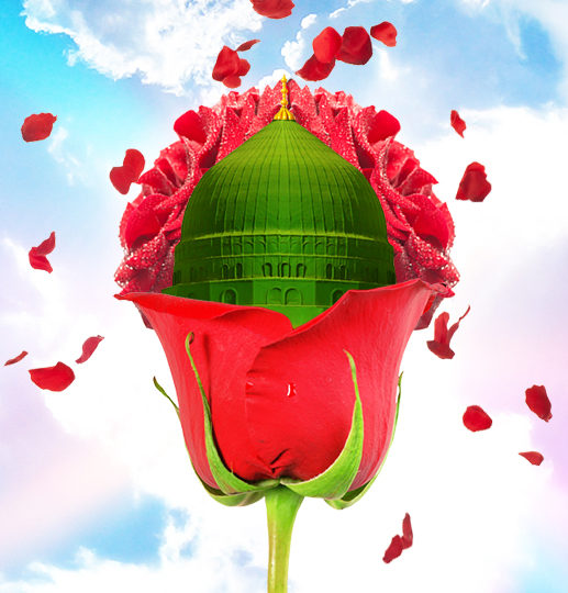 Which Behaviors Does Allah Curse? - Tulip & Rose (TaR)