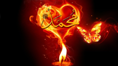 Moth flying into fire, candle, ishq, love, muabbat, fana, Muhammad sws, fire, candle,