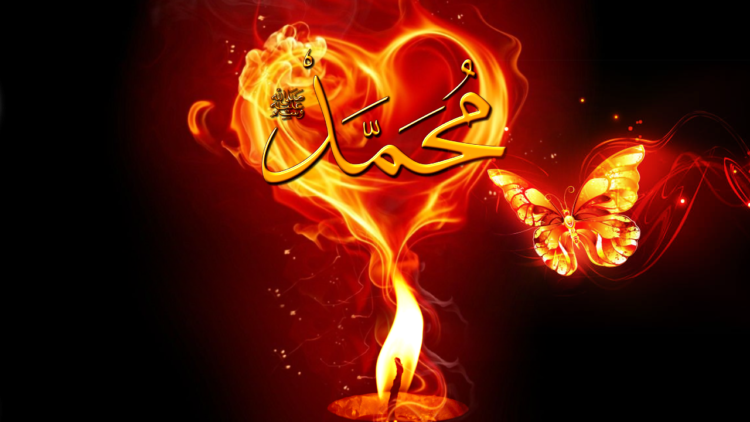 Moth flying into fire, candle, ishq, love, muabbat, fana, Muhammad sws, fire, candle,