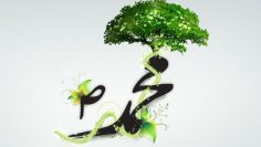 Muhammad-Calligraphy-tree