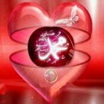Muhammad hidden in heart, Muhammad shining from heart,Heart with Muhammad written