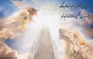 Murgh bagh malakotam - I am Bird of Heaven