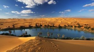 Oasis big lake in a desert - water, trees