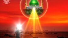 Prophet Muhammad (s) intercession at Karbala