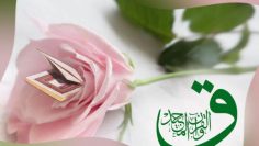 Qaf wal Quran al Majeed, Majid, pink flower