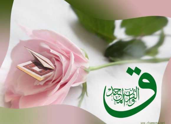 Qaf wal Quran al Majeed, Majid, pink flower