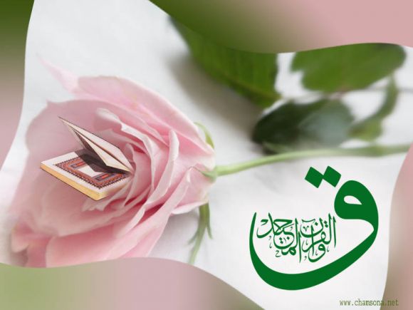 Qaf wal Quran al Majeed, Majid, pink flower