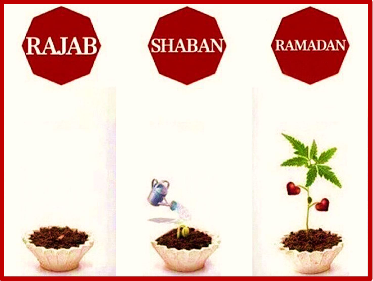 Rajab Shaban Ramadan Plant Seeds