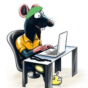 Rat on computer