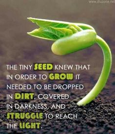 Seed knew to grow, must drop in dirt, darkness