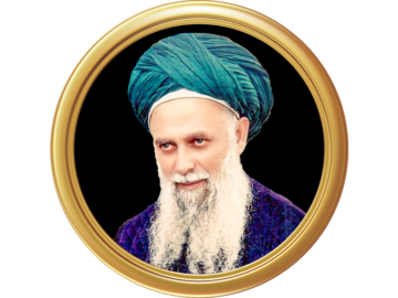 Sultan ul awliya Mawlana Shaykh Nazim 16 9 – MSN
