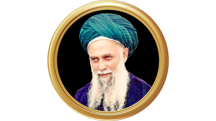 Sultan ul awliya Mawlana Shaykh Nazim 16 9 – MSN
