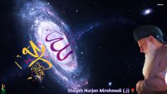 Shaykh Nurjan Mirahmadi, mirroring realilties,