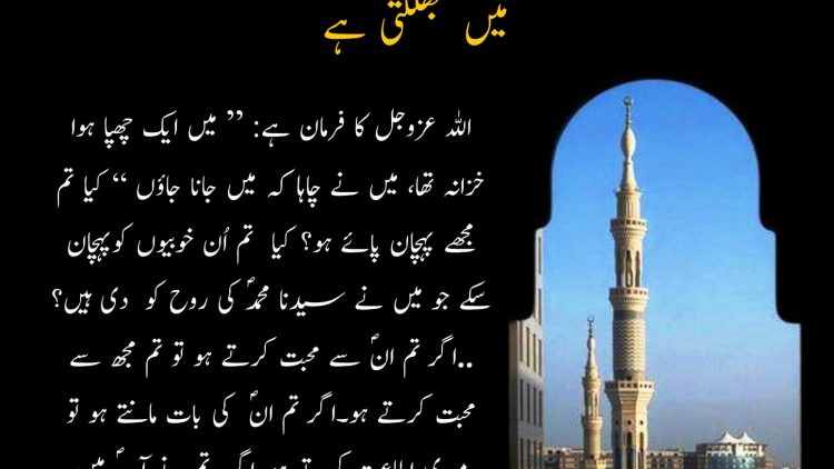 Urdu – 'I was a hidden treasure, I wanted to