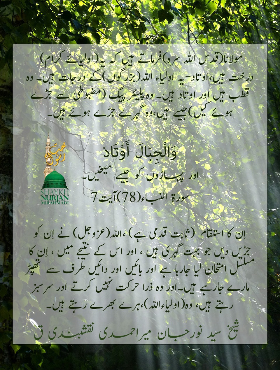 Awliya Are Like Trees and Mountains With Deep Roots 
 اولیاء کرام درختوں اور پہا...