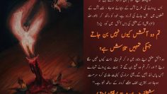 Urdu – Be like a moth to the fire: اپنی