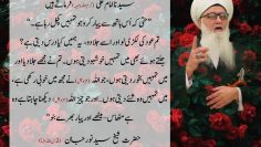 Urdu – Build Love and Compassion that is a Gift