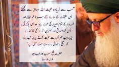 Urdu – Finding Guidance in Life ترجمہ: اور ایک بار