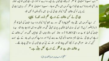 Urdu – Heart vs head Superpower in Ants …." وہ