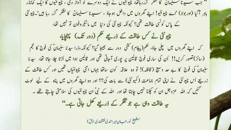 Urdu – Heart vs head Superpower in Ants …." وہ