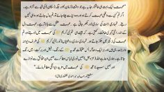 Urdu – Love of Sayedena Muhammad ﷺ (s) Pulls your