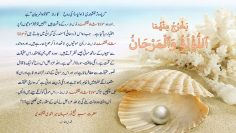 Urdu – Mawlana Shah Naqshband (qs) zikr of HU هو
