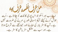 Urdu – Part One| The Light of Faith and Our