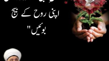Urdu – “Plant the seed of your soul in the