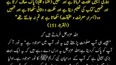 Urdu – Prophet Sallallahu alayhi wa sallam is within you___Feekum!!
