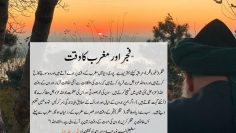 Urdu – Q&A Session with Shaykh Sayed Nurjan qs Q6: