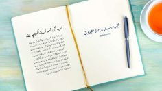 Urdu – Reality of a Mirror| Sayedna Khidr [AS] is