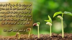 Urdu – ShaykhTalk # 4- Don’t Be A Seed, Plant