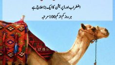 Urdu – Soul is like the She-Camel of Prophet Saleh