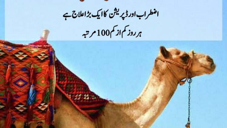 Urdu – Soul is like the She-Camel of Prophet Saleh
