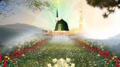 Urdu – Tafsir Quran 72:16 Keep Your Tariqat—Stay Firm on