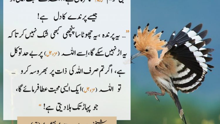 Urdu – Tawakkul– Make your Love like the Heart of