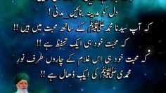 Urdu – The Greatest Refuge, The Greatest Protection is to