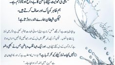 Urdu – The Inner Dimension Must Be Perfected for the