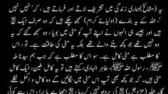 Urdu – |The Purity of the Teen (Soil) is what