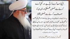 Urdu – The arrogance of shaytan influenced the angels. Angels