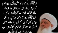 Urdu – There are Awliyyah Allah their purpose is to