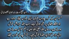 Urdu – There is a force field all around the