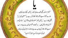 Urdu – YA SEEN ي س = يس Yaa ي