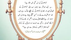 Urdu – You’re like a lamp – It’s the light