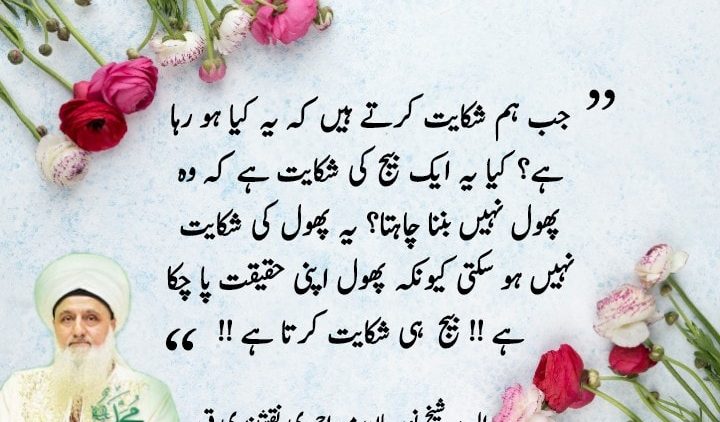Urdu – "When we complain what's happening?Is that a seed