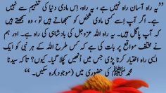 Urdu – |اِس ہاتھ سے بھی پیار کرو جو آپ